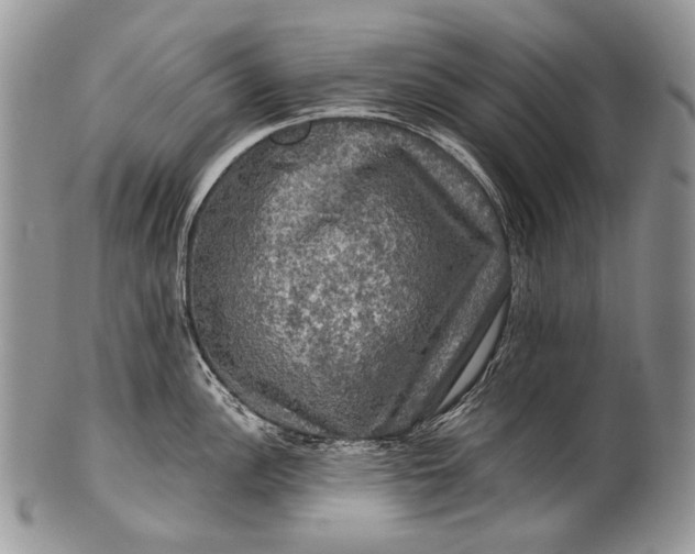 X0000100371148200806201621