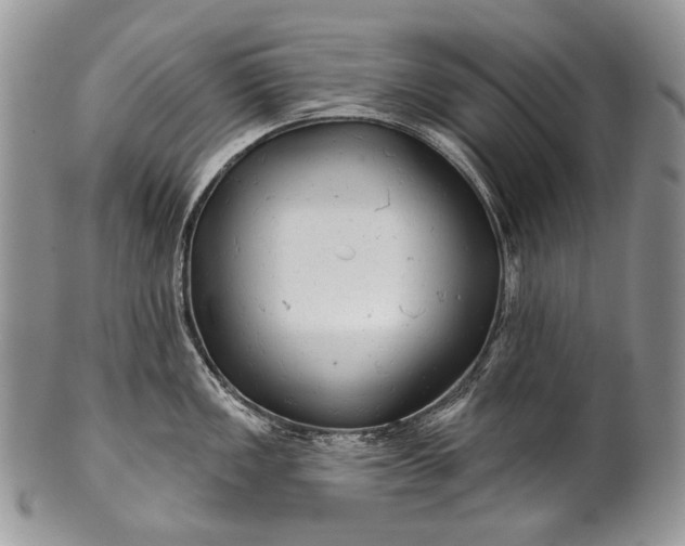 X0000100371149200806201621