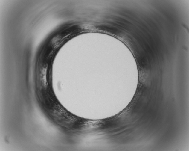 X0000100371150200806201621