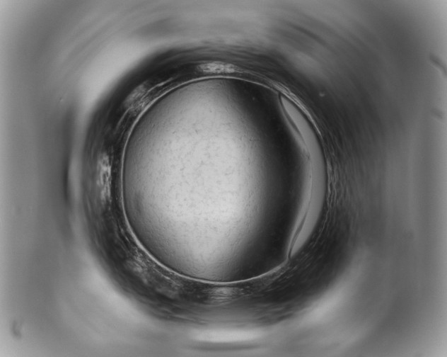 X0000100371151200806201621