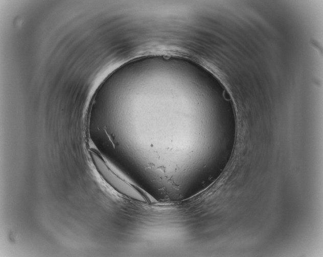 X0000100371152200806201621