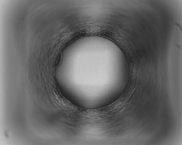 X0000100371153200806201621