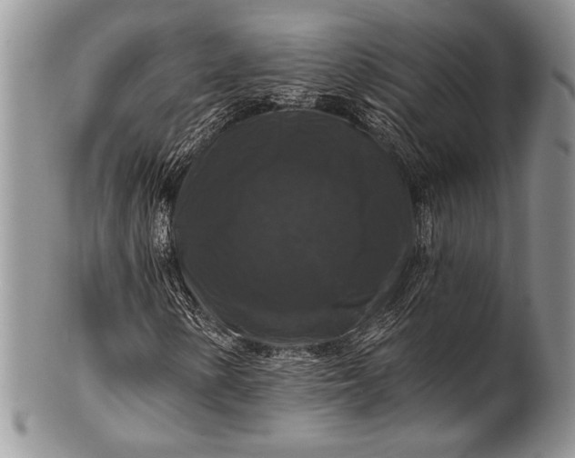 X0000100371154200806201621