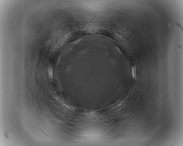 X0000100371155200806201621