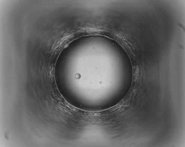 X0000100371157200806201621