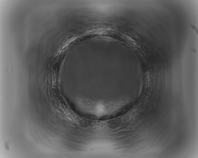 X0000100371158200806201621