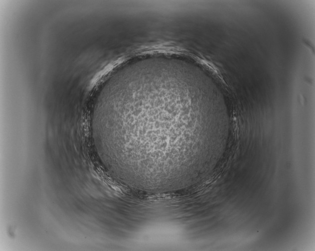 X0000100371159200806201621