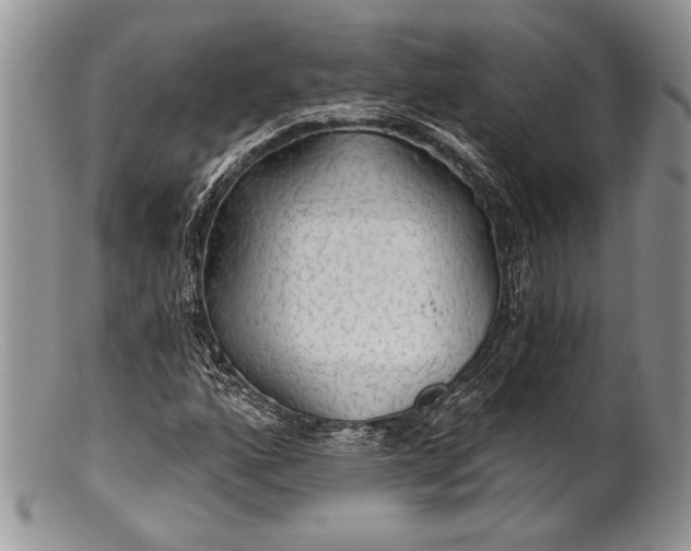 X0000100371160200806201621