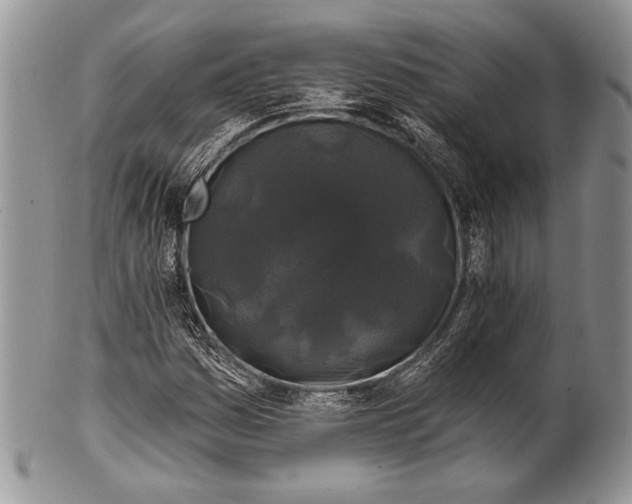 X0000100371161200806201621