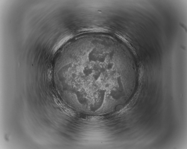 X0000100371163200806201621