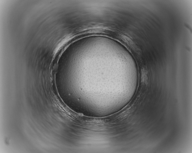 X0000100371164200806201621