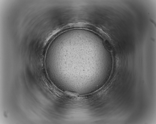 X0000100371166200806201621