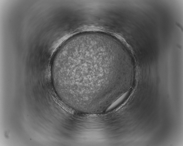 X0000100371167200806201621