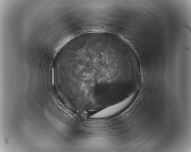 X0000100371171200806201621