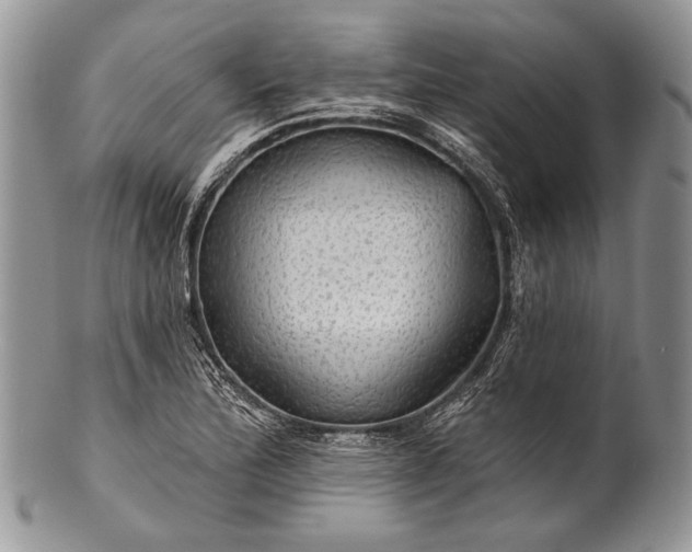 X0000100371172200806201620