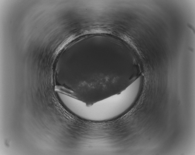 X0000100371173200806201620