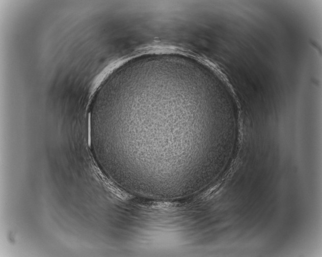 X0000100371175200806201620