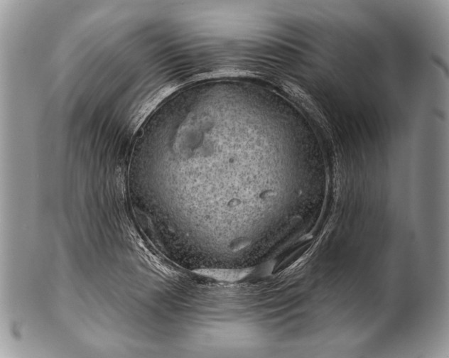 X0000100371177200806201620