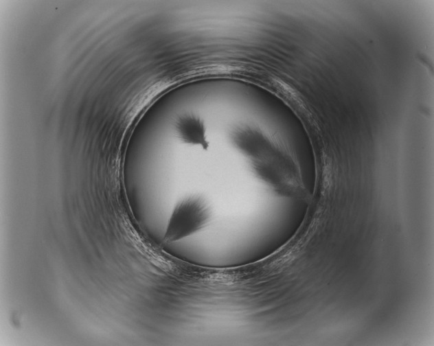 X0000100371178200806201620