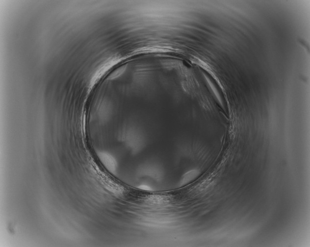 X0000100371179200806201620