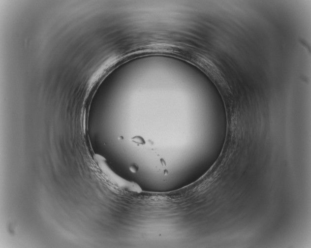 X0000100371180200806201620