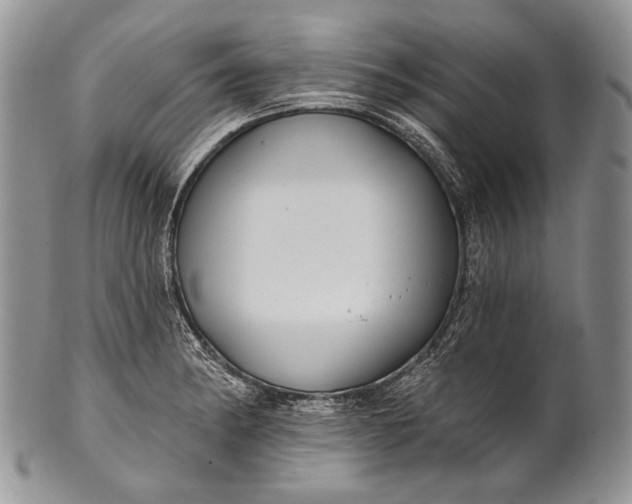 X0000100371182200806201620