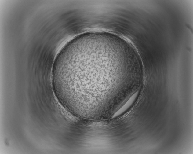 X0000100371183200806201620