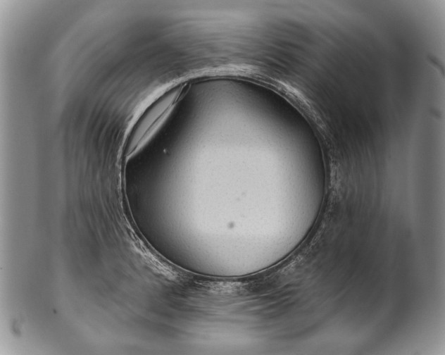 X0000100371184200806201620