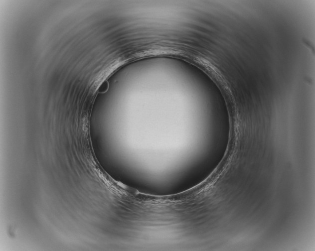 X0000100371185200806201620