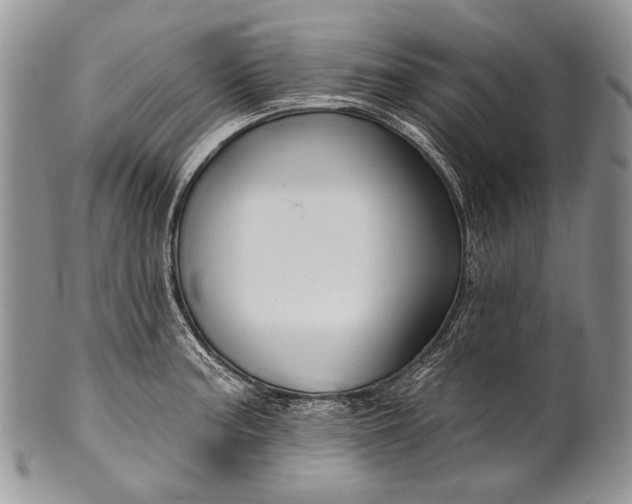 X0000100371187200806201620