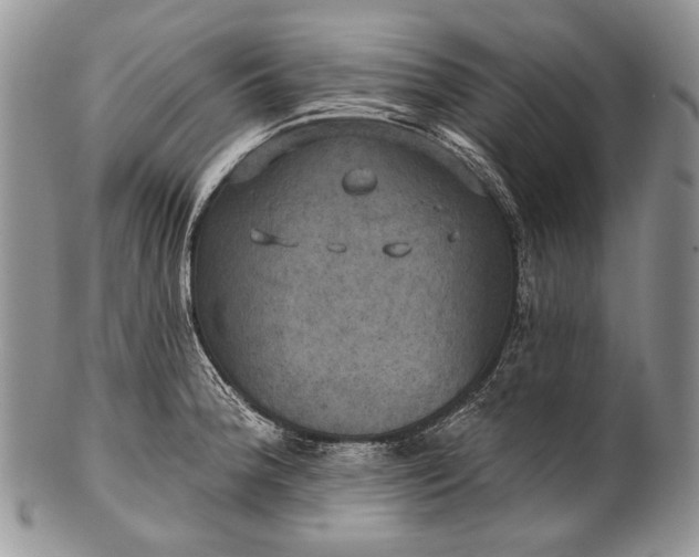 X0000100371188200806201620