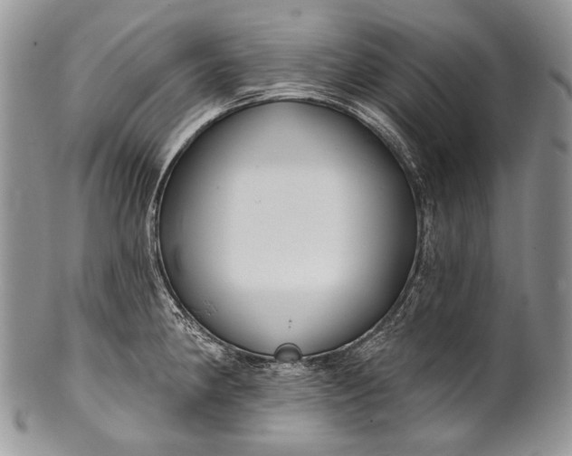 X0000100371190200806201620