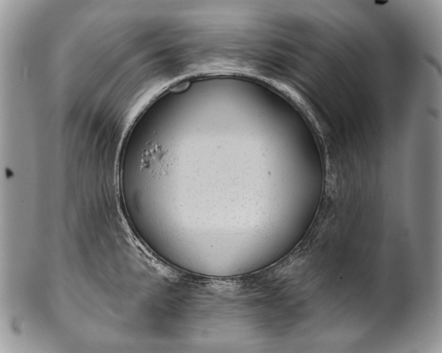 X0000100371191200806201620