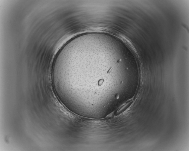 X0000100371192200806201620