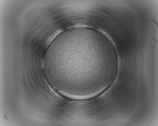 X0000100371193200806201620