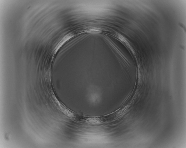 X0000100371194200806201620