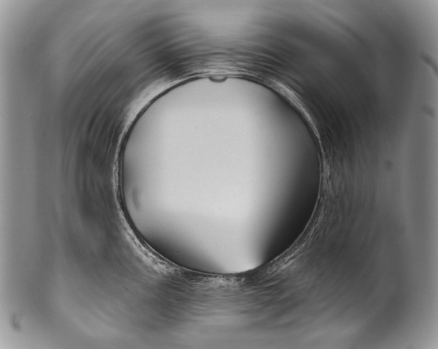 X0000100371195200806201620