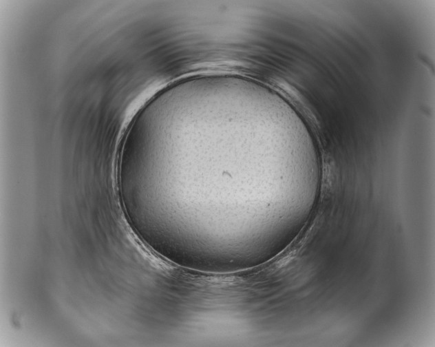 X0000100371196200806201620