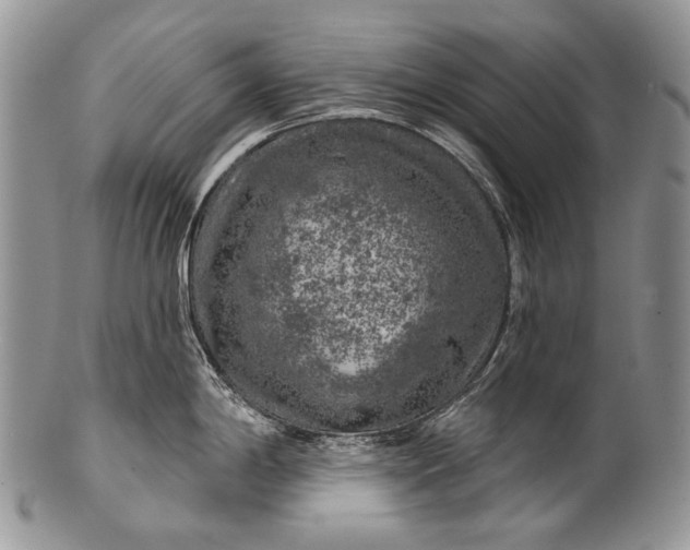 X0000100371198200806201620