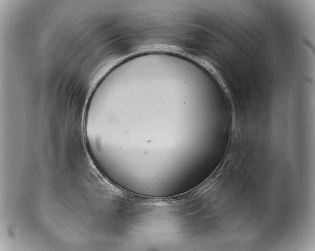 X0000100371199200806201620