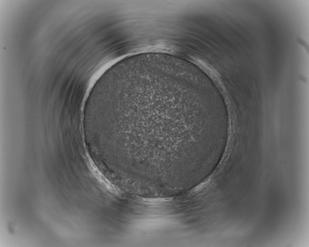 X0000100371200200806201620