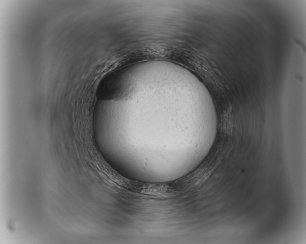 X0000100371201200806201619