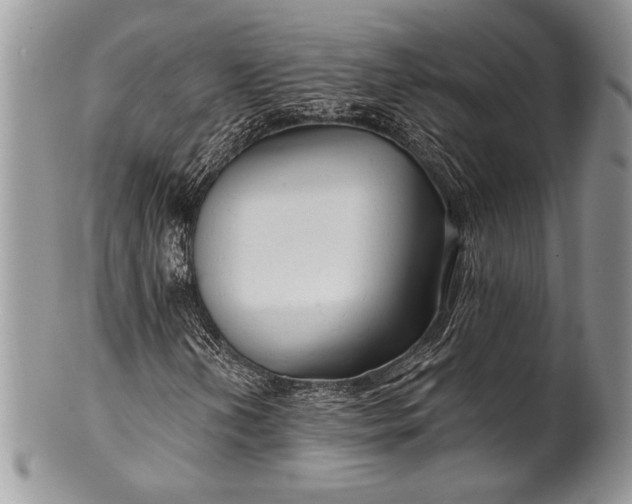 X0000100371202200806201619