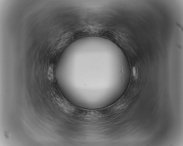 X0000100371203200806201619