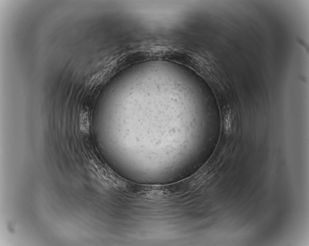 X0000100371204200806201619