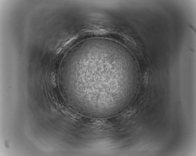 X0000100371205200806201619