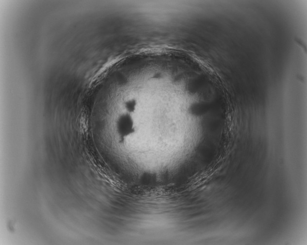 X0000100371206200806201619