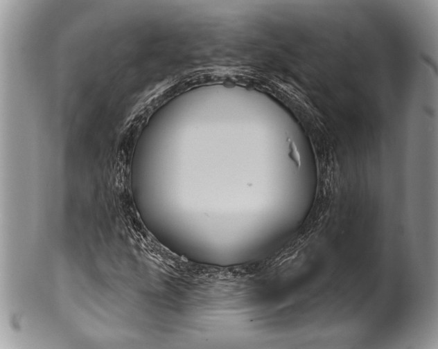 X0000100371207200806201619