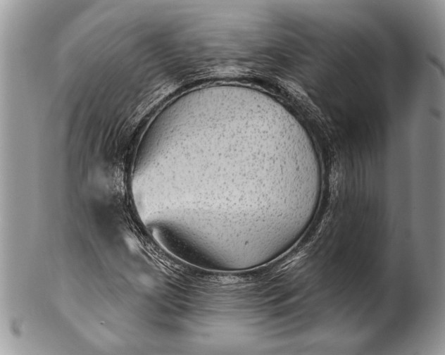 X0000100371209200806201620