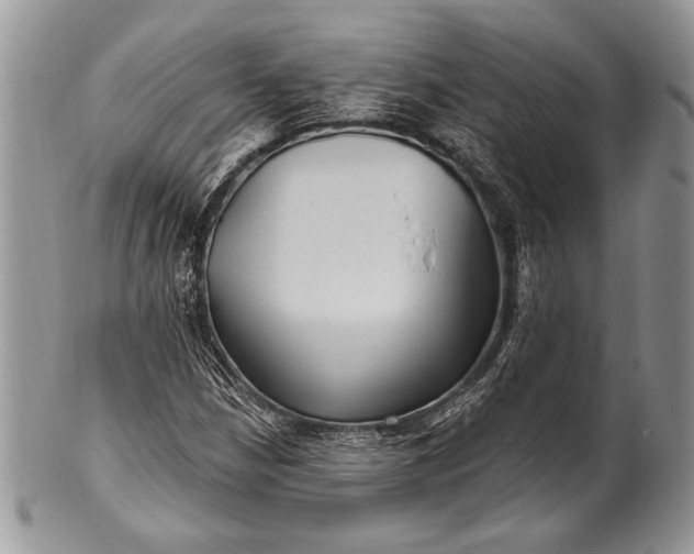 X0000100371210200806201620